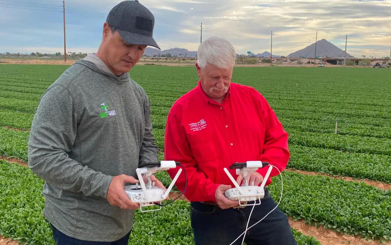Two pilots holding remote controllers while operating agricultural drones over a crop field