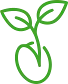 Seedling icon representing Farm-i-tude's drone-based seeding and crop establishment services