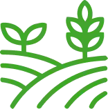 Icon of farmland rows and crops representing unmanned aerial systems (UAS) agricultural services